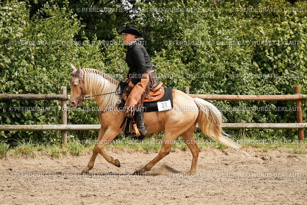 DSC00469 | Pferdegrafie