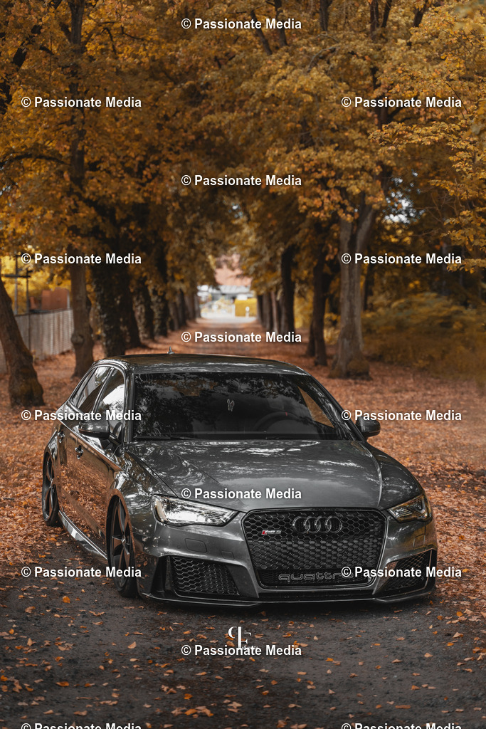 DSC07279 | Passionate Media, dein Fotograf aus Brandenburg, Märkisch Oderland, im Bereich Motorsport, Autos und Motorräder sowie Events und auch Hunde. Shootings oder auch Eventbegleitungen können bei mir gebucht we