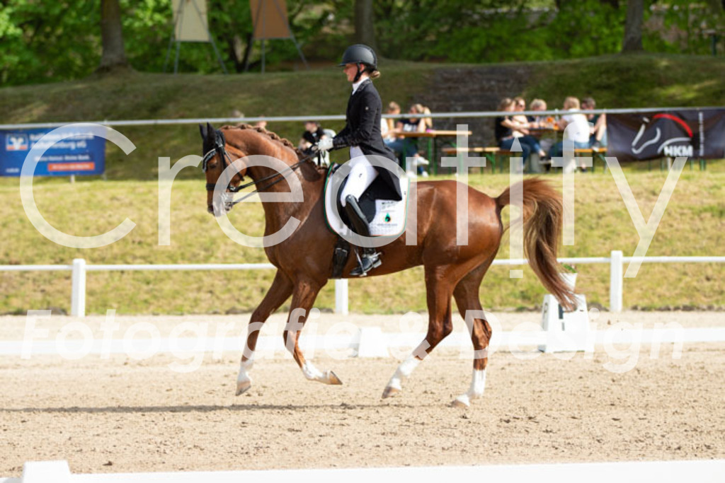 IMG_7942 | Creatify Fotografie