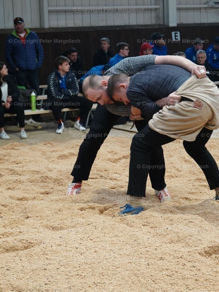 k-DSC06119 | Schwingen - Realisiert mit Pictrs.com