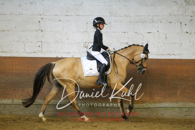 DKP43321 | Turniersportfotografie; Pferdefotografie; Dressurfotografie