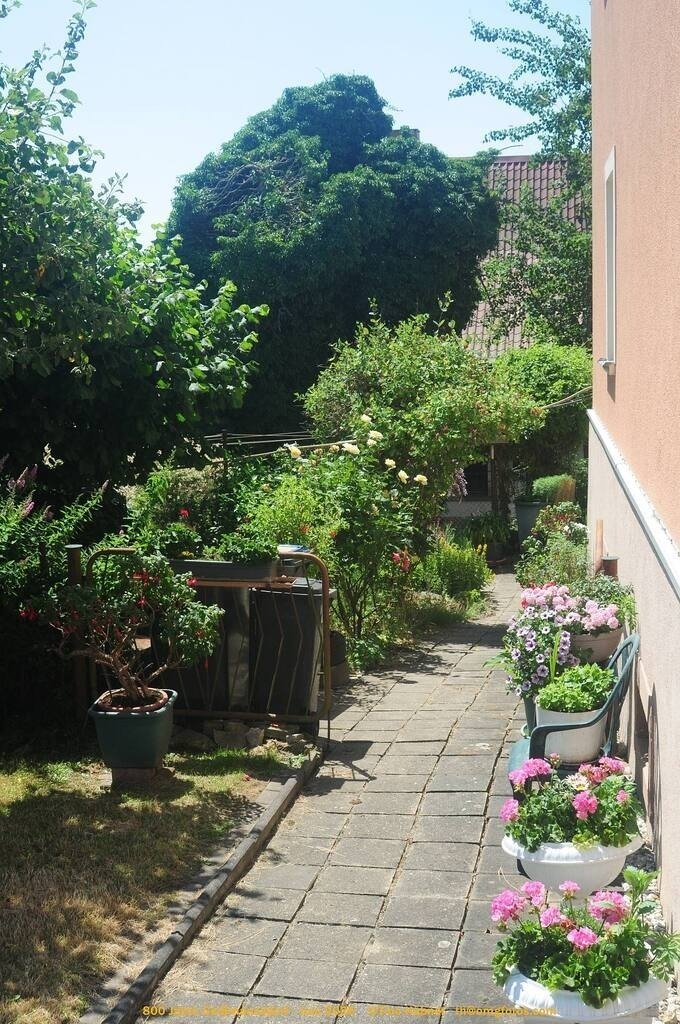 Geißmannsdorf-2026-Ortsbilder-324 | Geißmannsdorf bei Bischofswerda im Sommer 2026. Ein fotografischer Streifzug durch das Dorf Geißmannsdorf, mit Gebäuden, Straßen, Strohpuppen und geschmückten Vorgärten und Grundstücken anlässlich der 800-Jahr-Feier von Geißmannsdorf im Juni 2026 - Realisiert mit Pictrs.com