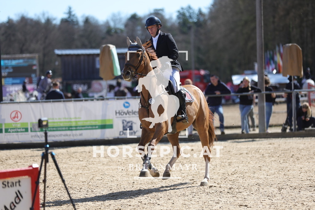 0P6A7611 | Willkommen bei Brunnmayr - Design & Fotografie – Ihrem Spezialisten für Reitturniere und Pferdeveranstaltungen in Oberösterreich, Salzburg und Bayern! Seit über 17 Jahren sind wir leidenschaftlich dabei.