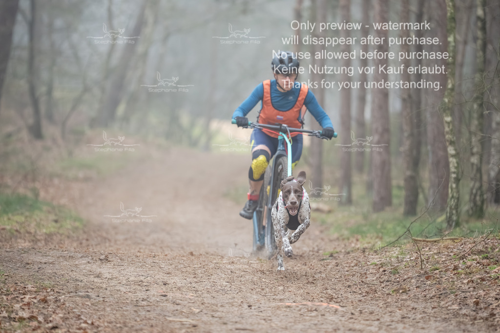 Scooter1-150 | stephaniefillaphotographie - Realisiert mit Pictrs.com