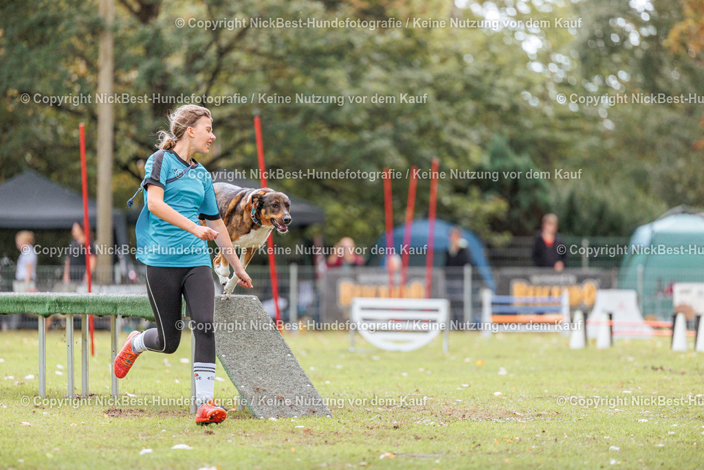 THS-HSV-Blumenthal-2026-Nickbest-Hundefotografie-4021 | Dein Hund! Dein Moment! Deine Erinnerungen! Hundefotografie in Bremen Blumenthal. Ich fange die besonderen Momente deines Vierbeiners ein – ob Indoor mit Blitzanlage oder in der freien Natur. Sicher dir dein Moment und dein Termin für eure Erinnerungen.