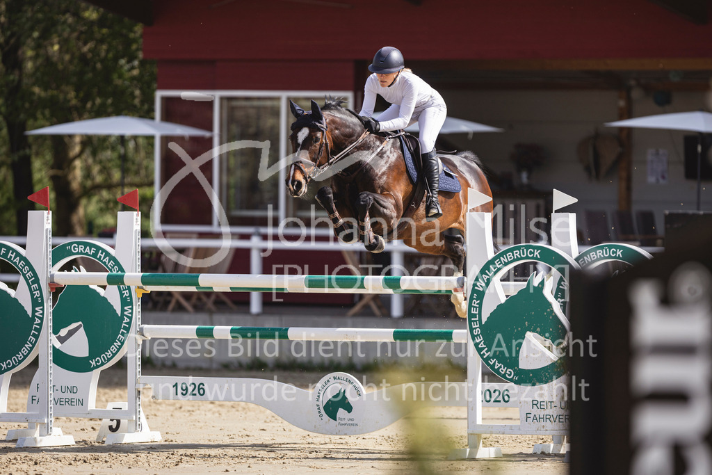 260503_Spenge_7_M2-Spr-m-steig-Anf-751 | Deine schönsten Turniermomente als professionelle Fotos! Entdecke hochwertige Pferdesport-Fotografie im Online-Shop. Jetzt Fotos finden & bestellen!