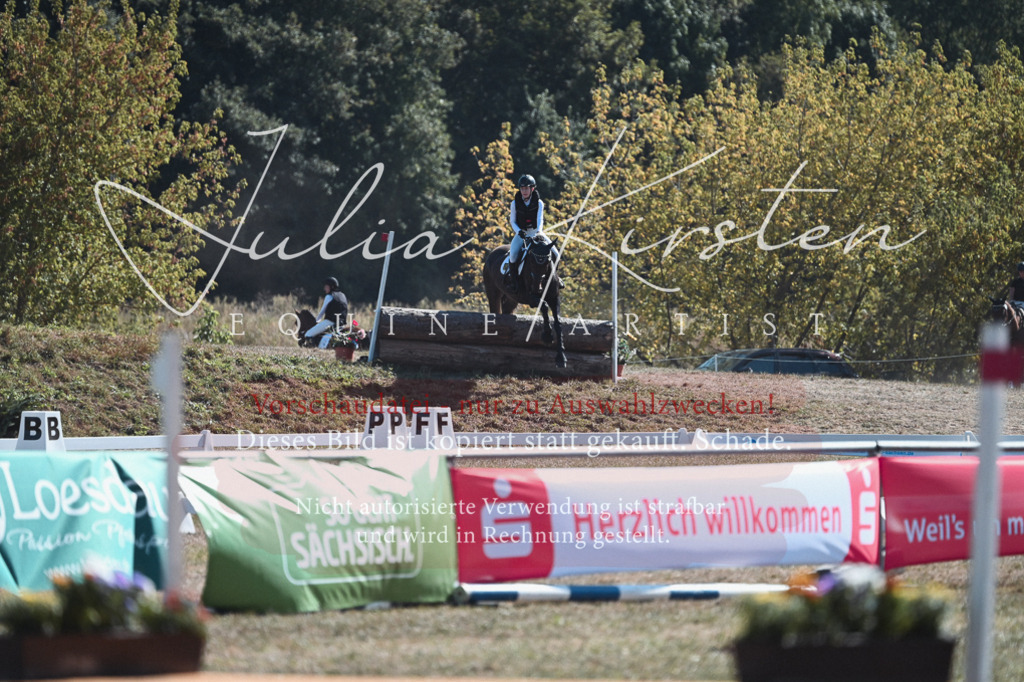 DSC_8655 | Pferde- und Turnierfotografie in Westsachsen. Pferdeportraits, Auftragszeichnungen und intuitive Kunst.