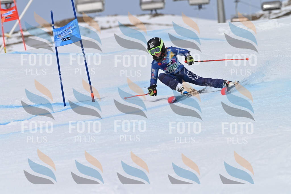 BGV_5346 | holidayphoto