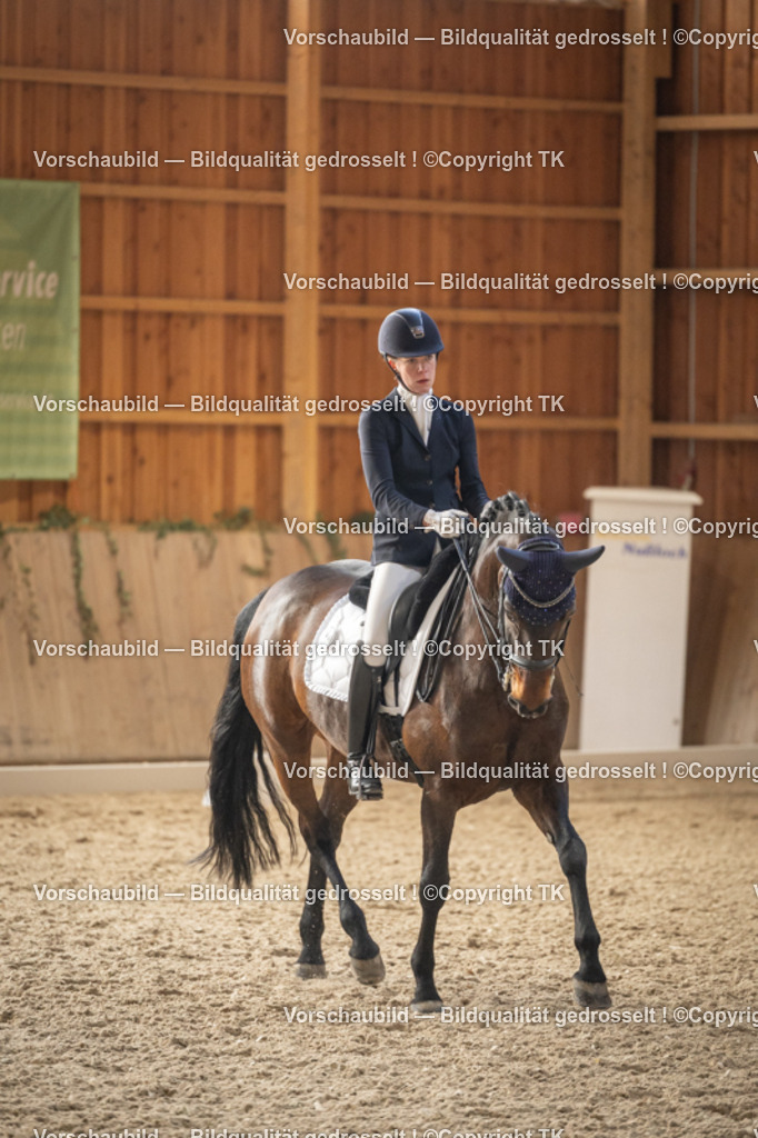 _D5A6448 | Emotionale Pferde- & People-Fotografie rund um Heidelberg, Leimen & Umgebung. Natürliche Fotos von Pferd, Mensch & Familie. Jetzt Termin sichern!