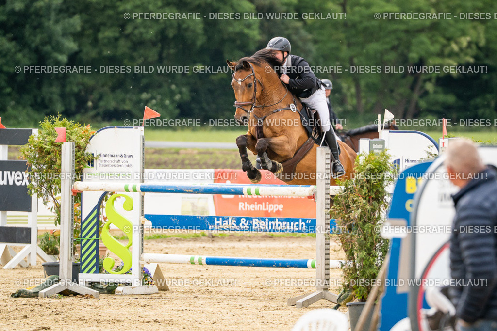 DSC06136 | Pferdegrafie