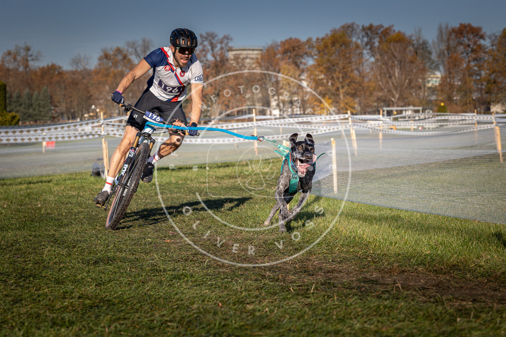 CaniXpix_0L8A4380 | Hundefotografie, Tierfotograf, Pfotenfotografie, Fotoshooting Hund, Hunde Portrait, Hundesport, Hundeportraits, Heideshooting, Hunde, Sportfotograf, Hundefotograf, Turnierhundsport, THS,  - Realisiert mit Pictrs.com