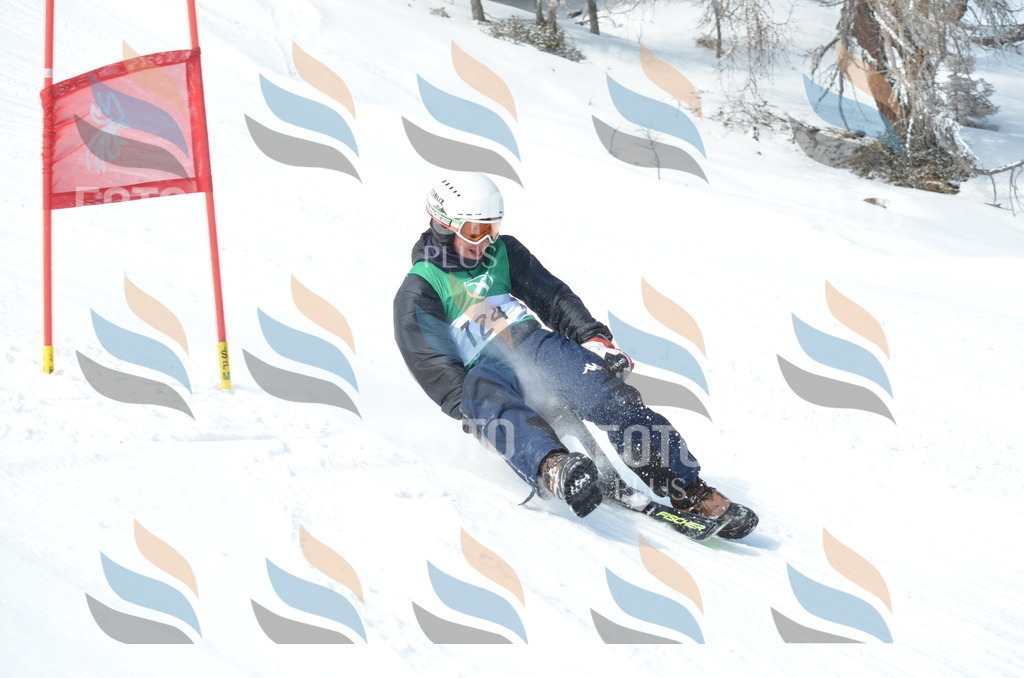 D9286 | holidayphoto