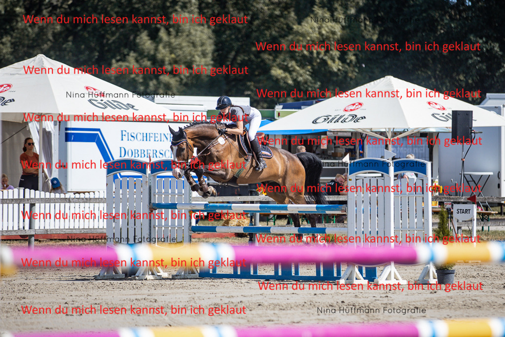 BK1A6753 | Turnierbilder Turnierfotos Nina Hüffmann Turnierfotografie Pferdefotografie Tierzeichnung Haustierzeichnung Pferdezeichnung Hundezeichnung Videograf  - Realisiert mit Pictrs.com