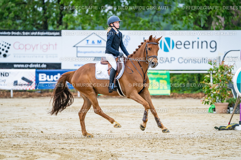 DSC01368 | Pferdegrafie