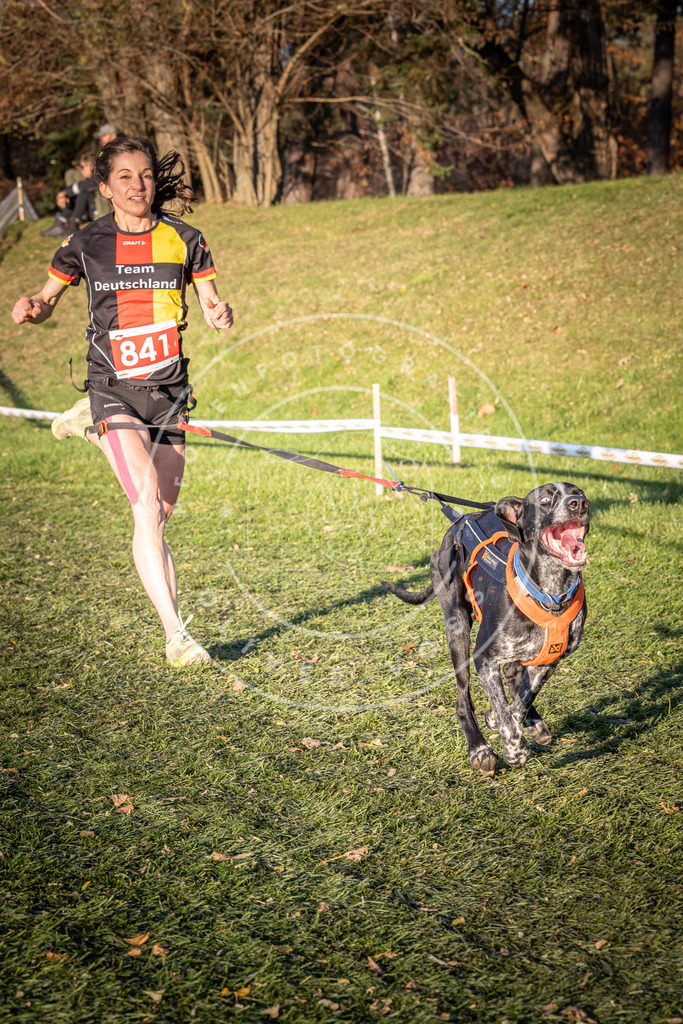 CaniXpix_0L8A0746 | Hundefotografie, Tierfotograf, Pfotenfotografie, Fotoshooting Hund, Hunde Portrait, Hundesport, Hundeportraits, Heideshooting, Hunde, Sportfotograf, Hundefotograf, Turnierhundsport, THS,  - Realisiert mit Pictrs.com