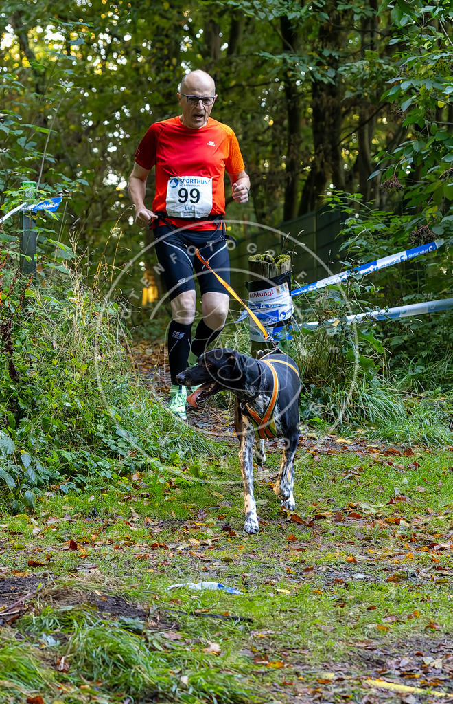 Pfotenfotografie_DV3A6871 | Hundefotografie, Tierfotograf, Pfotenfotografie, Fotoshooting Hund, Hunde Portrait, Hundesport, Hundeportraits, Heideshooting, Hunde, Sportfotograf, Hundefotograf, Turnierhundsport, THS,  - Realisiert mit Pictrs.com