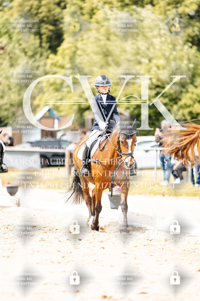 CK902411 | Turnierfotografie Pferdefotografie Trier Rheinland-Pfalz Pferdesport Reitsport Tierfotografie Sportfotografie Pferdevideo Pferdevideografie Equestrianvideography equestrianphotography  - Realisiert mit Pictrs.com