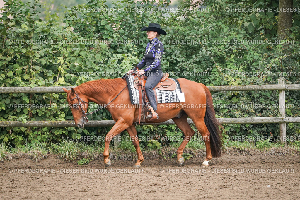 DSC01871 | Pferdegrafie