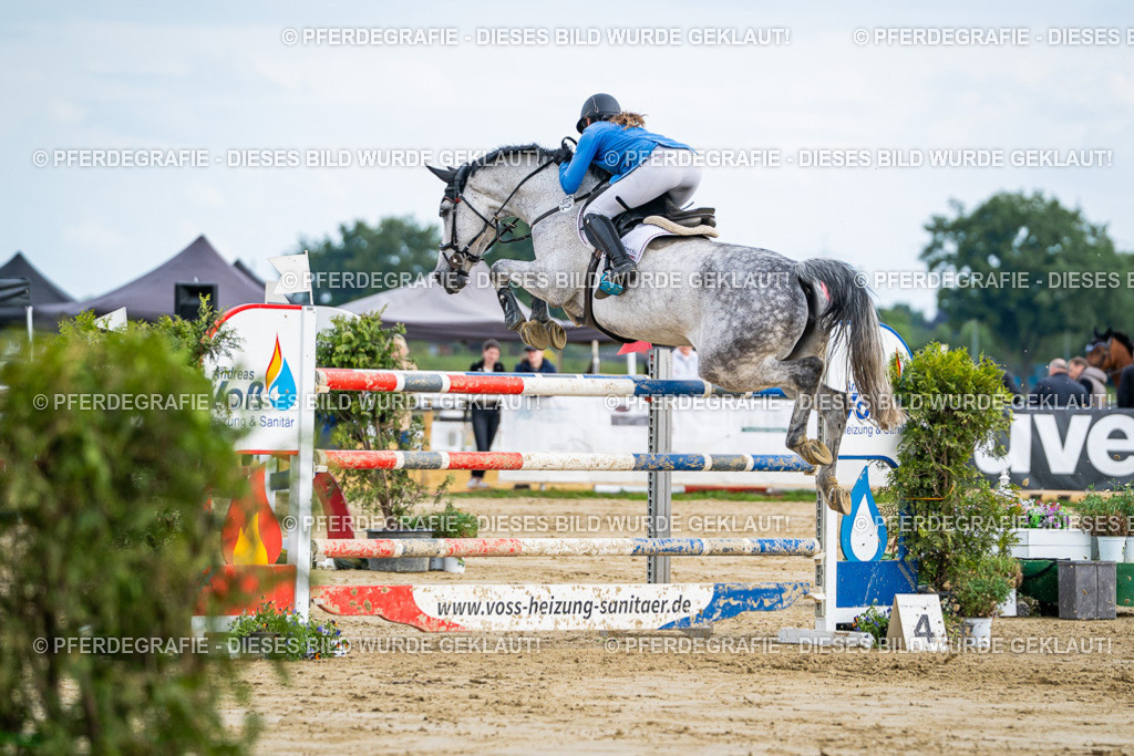 DSC07247 | Pferdegrafie