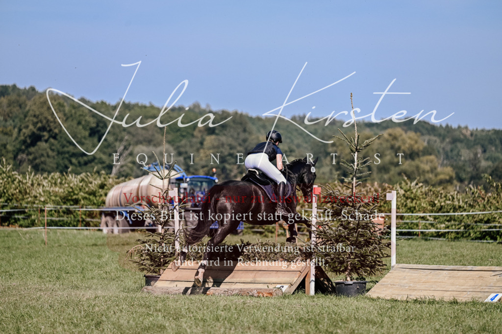 DSC_3563 | Pferde- und Turnierfotografie in Westsachsen. Pferdeportraits, Auftragszeichnungen und intuitive Kunst.