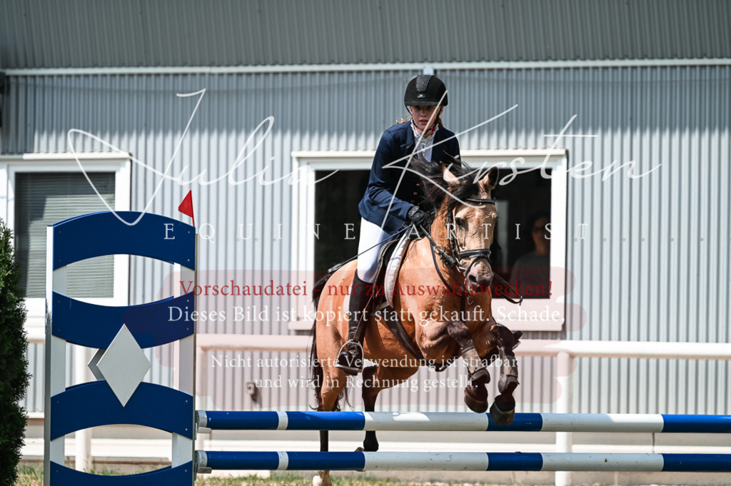 DSC_9316 | Pferde- und Turnierfotografie in Westsachsen. Pferdeportraits, Auftragszeichnungen und intuitive Kunst.