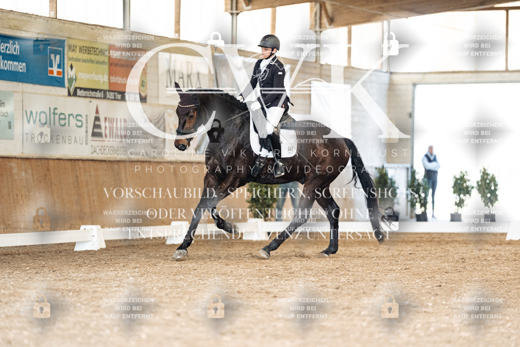 CK901512 | Turnierfotografie Pferdefotografie Trier Rheinland-Pfalz Pferdesport Reitsport Tierfotografie Sportfotografie Pferdevideo Pferdevideografie Equestrianvideography equestrianphotography  - Realisiert mit Pictrs.com