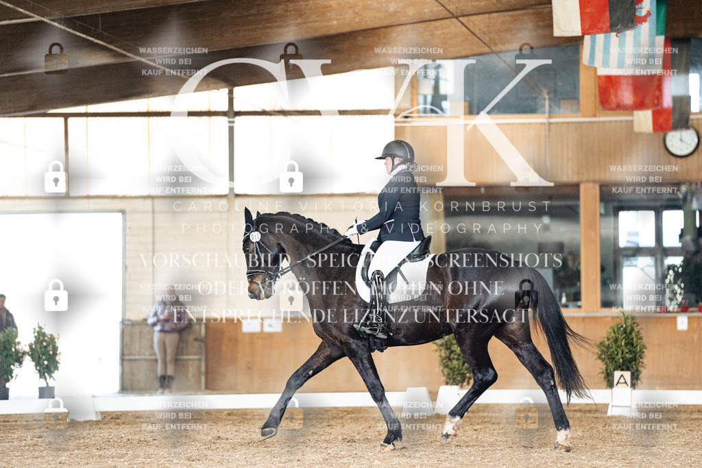 CK902270 | Turnierfotografie Pferdefotografie Trier Rheinland-Pfalz Pferdesport Reitsport Tierfotografie Sportfotografie Pferdevideo Pferdevideografie Equestrianvideography equestrianphotography  - Realisiert mit Pictrs.com