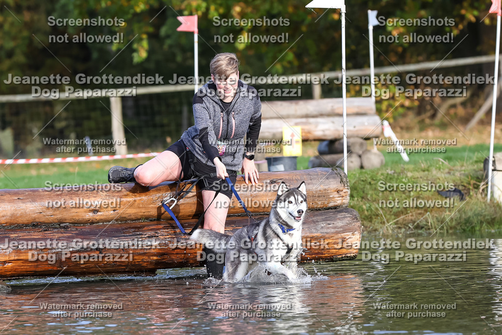 Dog Paparazzi - Strongdog 10-25-8353 | Dog Paparazzi Jeanette Grottendiek Fotografie & Videografie - Realisiert mit Pictrs.com