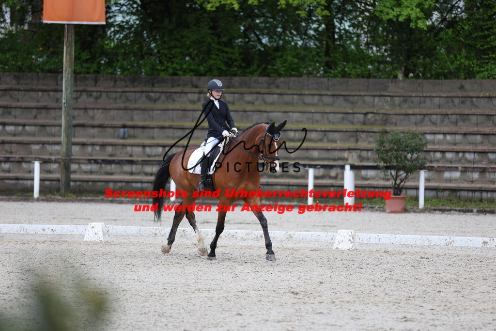 A40A9301 | lmwpictures - Realisiert mit Pictrs.com