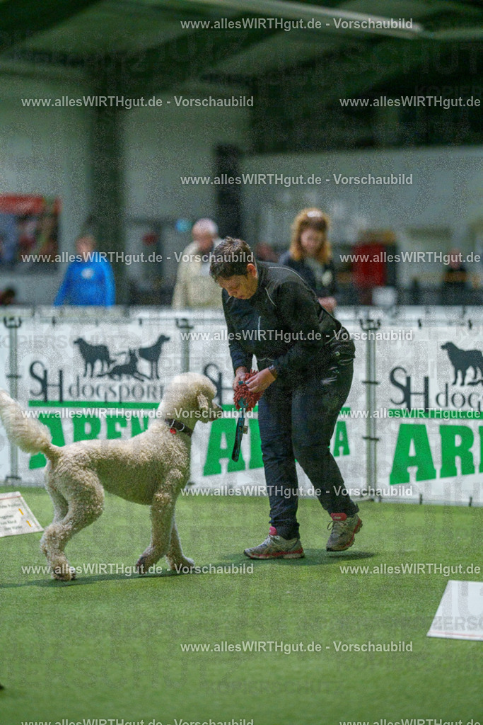 7R505584 | Professionelle Tierfotografie in Mönchengladbach von Daniel Wirth (allesWIRTHgut). Liebevolle & natürliche Bilder von Hunden & Katzen für unvergessliche Erinnerungen.