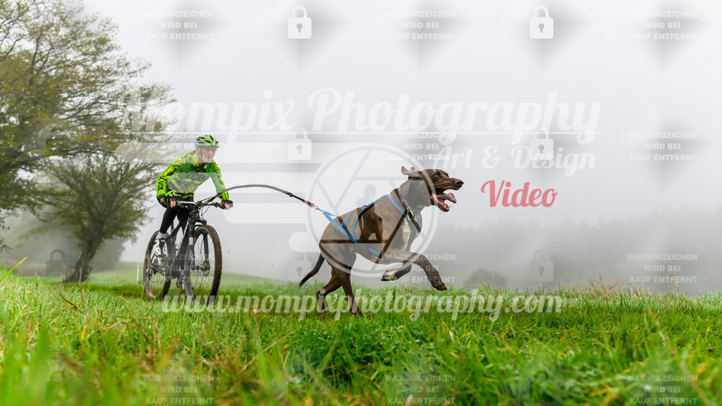 MompixPhotography_20TSB_E5_Bike-67 | PayLife