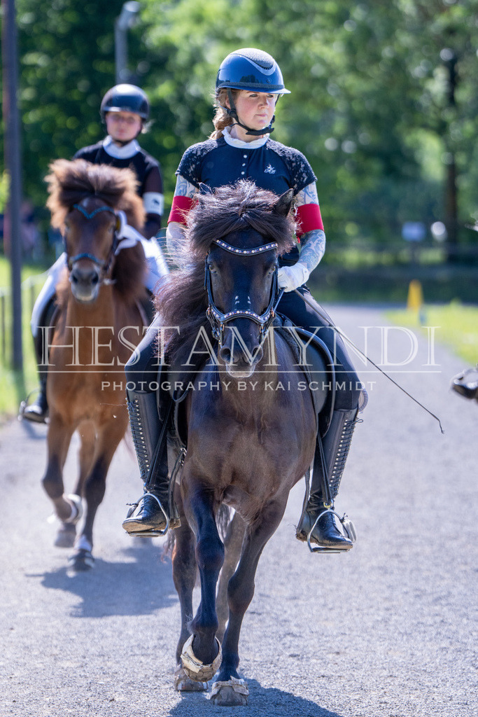 KAI00478 | Ihr sucht einen Fotografen für eure nächste OSI? Ich begleite auch euer Turnier für Islandpferde fotografisch.  - Realisiert mit Pictrs.com