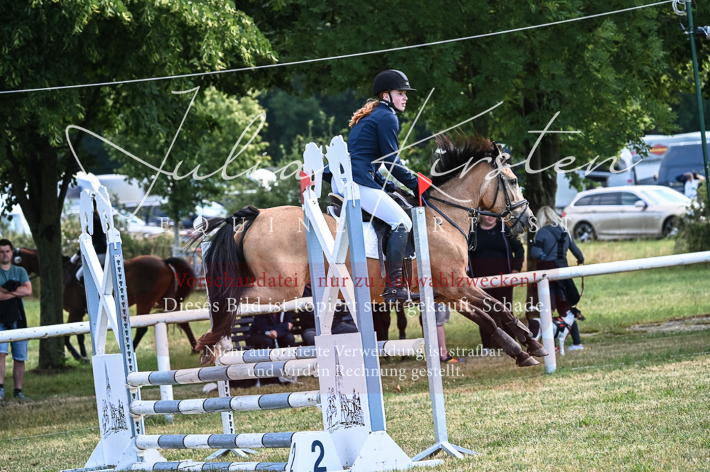 DSC_8031 | Pferde- und Turnierfotografie in Westsachsen. Pferdeportraits, Auftragszeichnungen und intuitive Kunst.