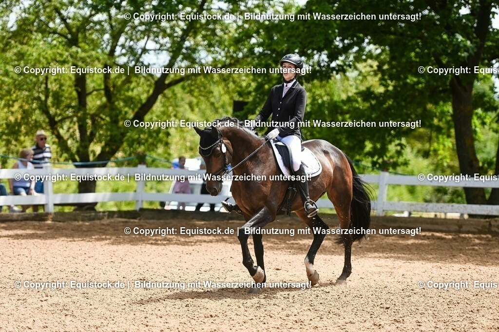 20230716_03_Dressurprfg. Kl.L - Tr._0558 | equistock