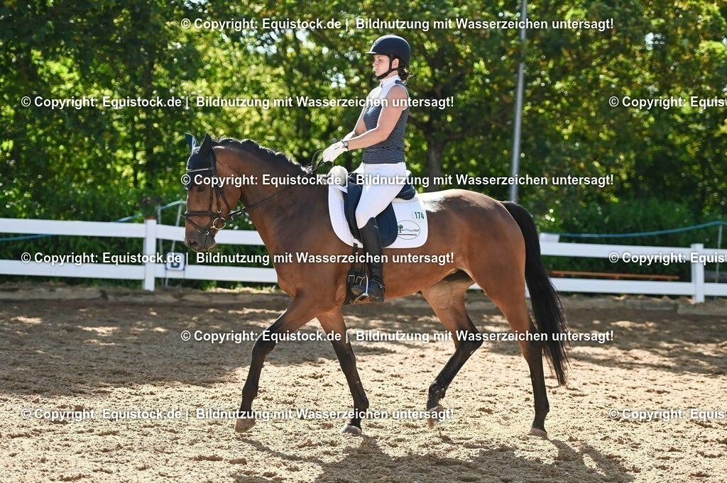 20230715_06_Dressurpferdeprfg. Kl.A_0389 | equistock