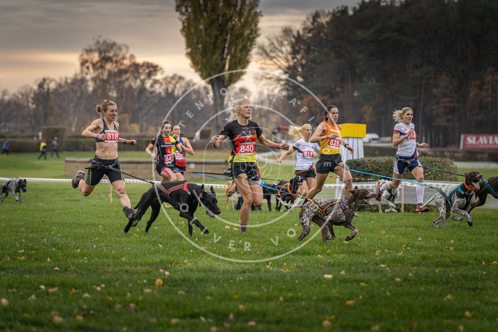 CaniXpix_DV3A6038 | Hundefotografie, Tierfotograf, Pfotenfotografie, Fotoshooting Hund, Hunde Portrait, Hundesport, Hundeportraits, Heideshooting, Hunde, Sportfotograf, Hundefotograf, Turnierhundsport, THS,  - Realisiert mit Pictrs.com