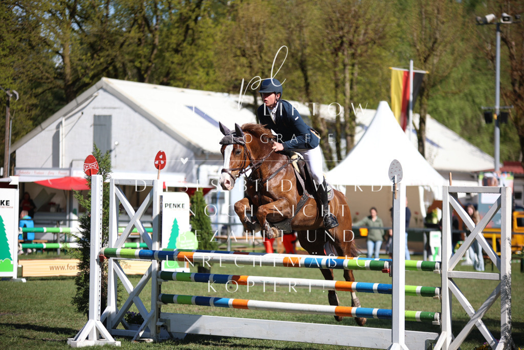 IMGT0451 | pl-fotografie