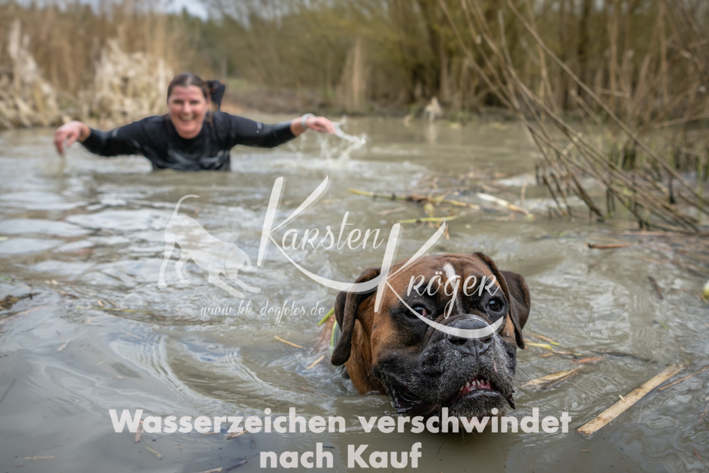 1557_ZZ94913 | kk-dogfotos