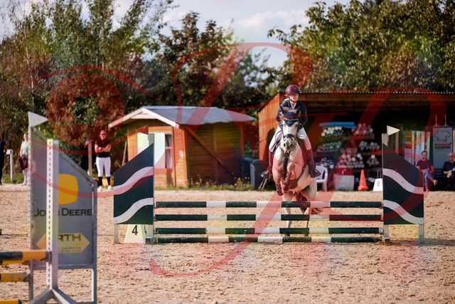 2026_10_03_Siefer-Hof_154519_Z81_63640430 | Professionelle Reitsport-, Turnier- und Eventfotografie von Robert Broda. Galerien mit ausgewählten und bearbeiteten Bildern direkt online ansehen und bestellen.