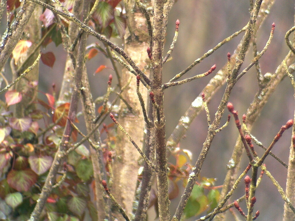 PICT0004 | klausulrichmoeller