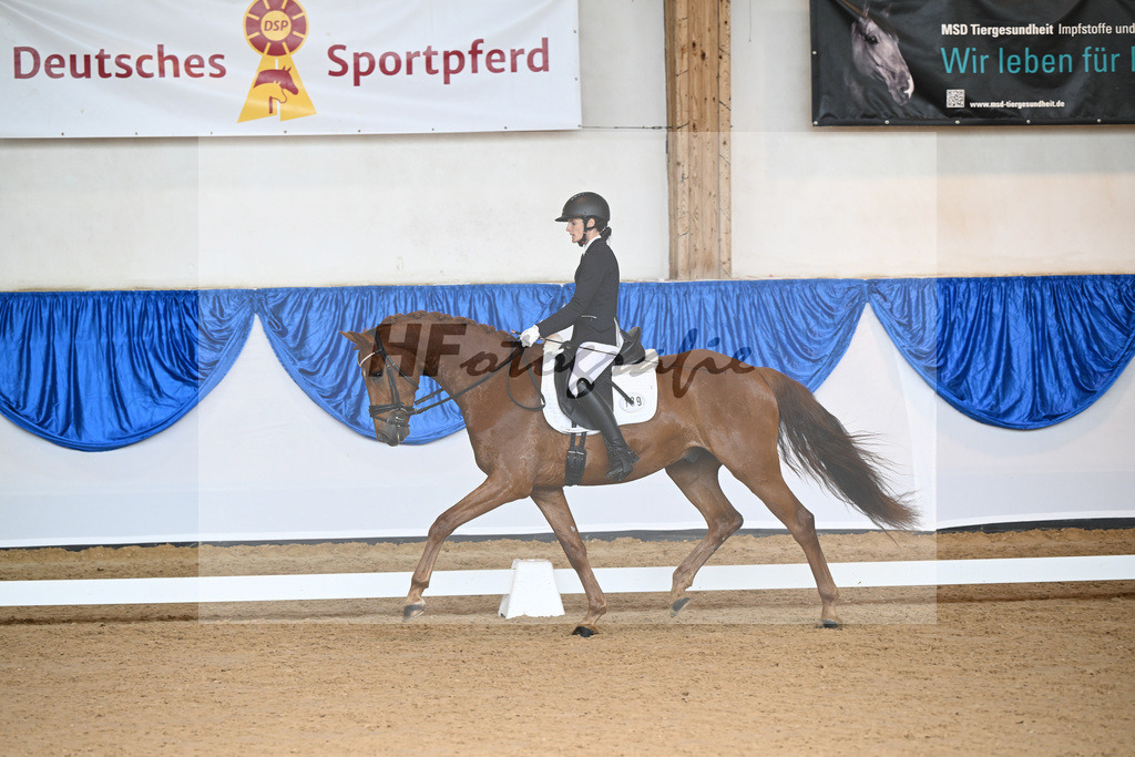 Kat-Nr. 139 Valandero_Kroeber_14242082 | hf-fotografie - Realizzato con Pictrs.com