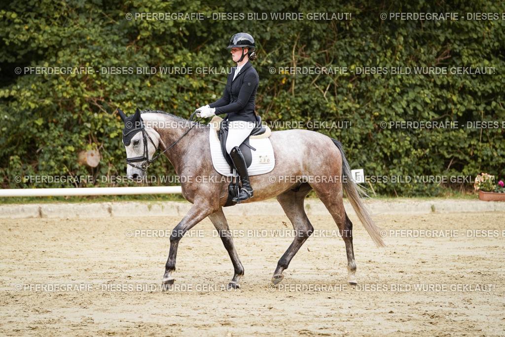 DSC00858 | Pferdegrafie