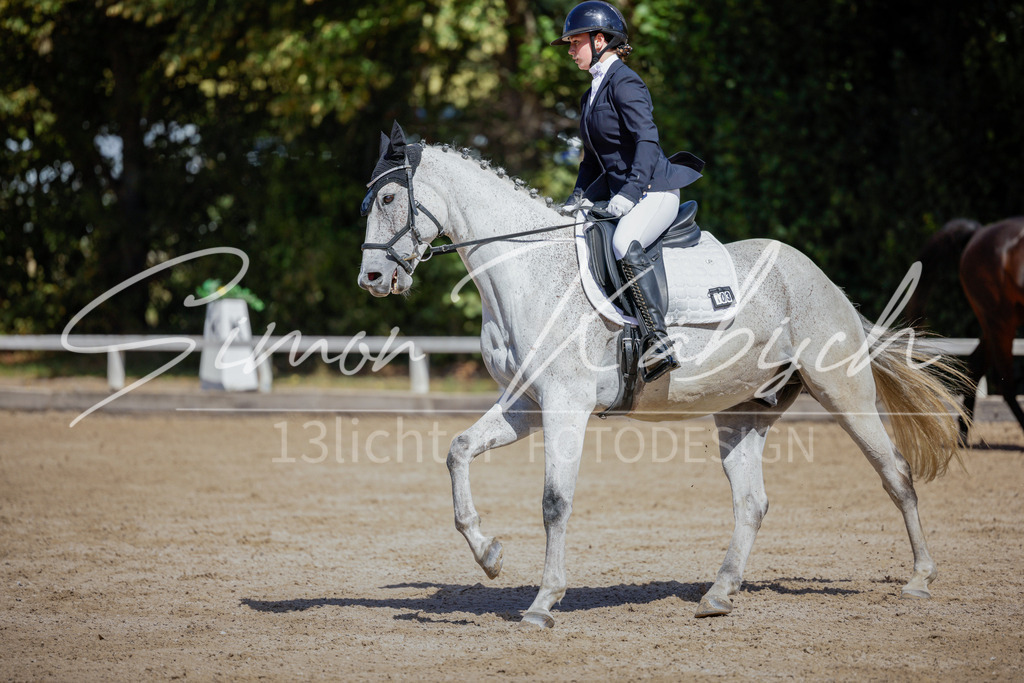 20250906-_3LI4339 | Tierfotografie Pferde, Hunde, Katzen, Haustiere.
Turnierfotografie Reitturniere, Reiten, Springreiten, Dressur in Hanau, dem Main-Kinzig-Kreis und dem Rhein-Main- Gebiet um Frankfurt