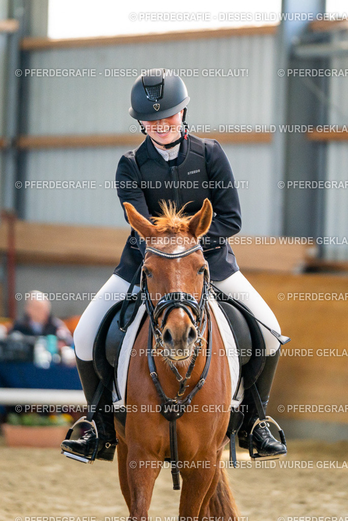 DSC01546 | Pferdegrafie