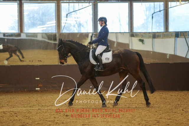 IMG_8114 | Turniersportfotografie; Pferdefotografie; Dressurfotografie