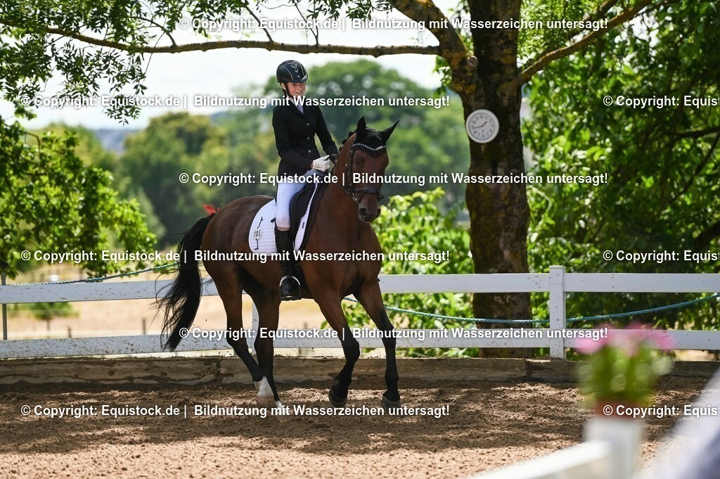 20230716_03_Dressurprfg. Kl.L - Tr._0065 | equistock