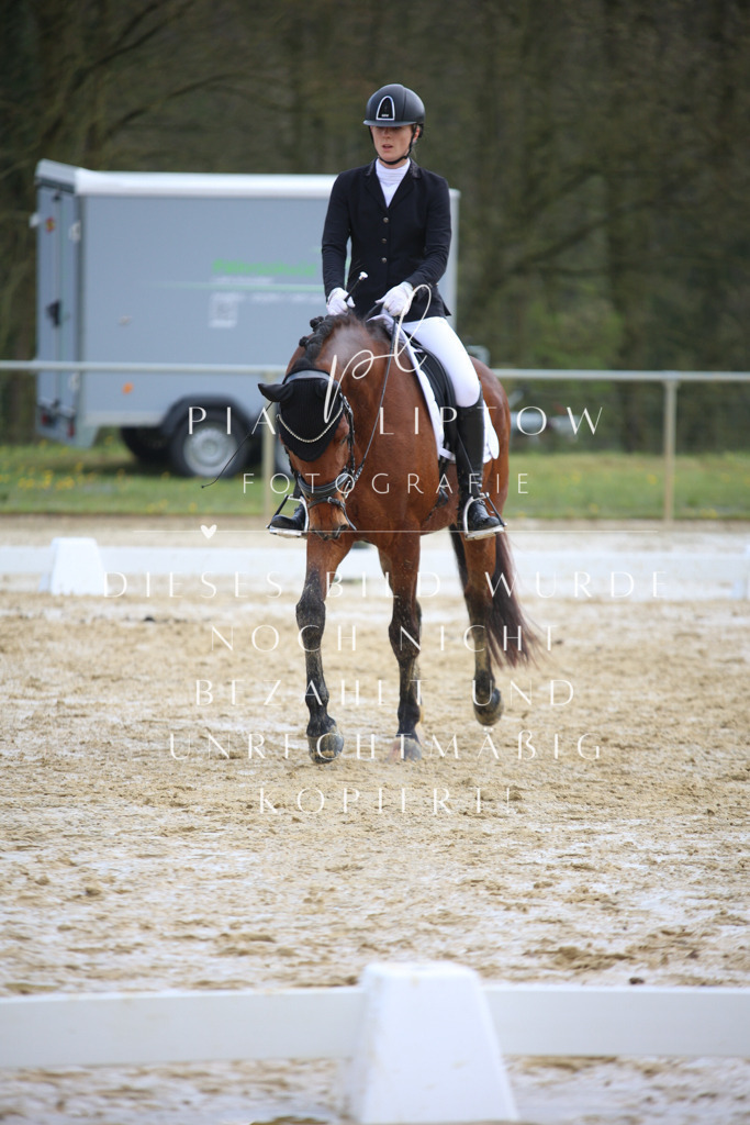 IMGT3593 | pl-fotografie