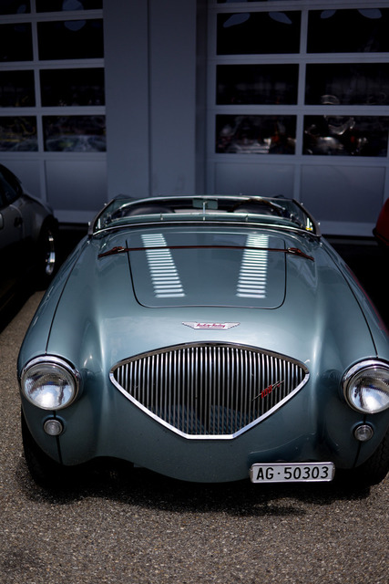 Calag_Oldtimer2025-14 | Ich fotografiere Hundeausstellungen, Sportanlässe, Zuchtstätten, Hundezucht, Hundeportrait, Lagotto - Realisiert mit Pictrs.com