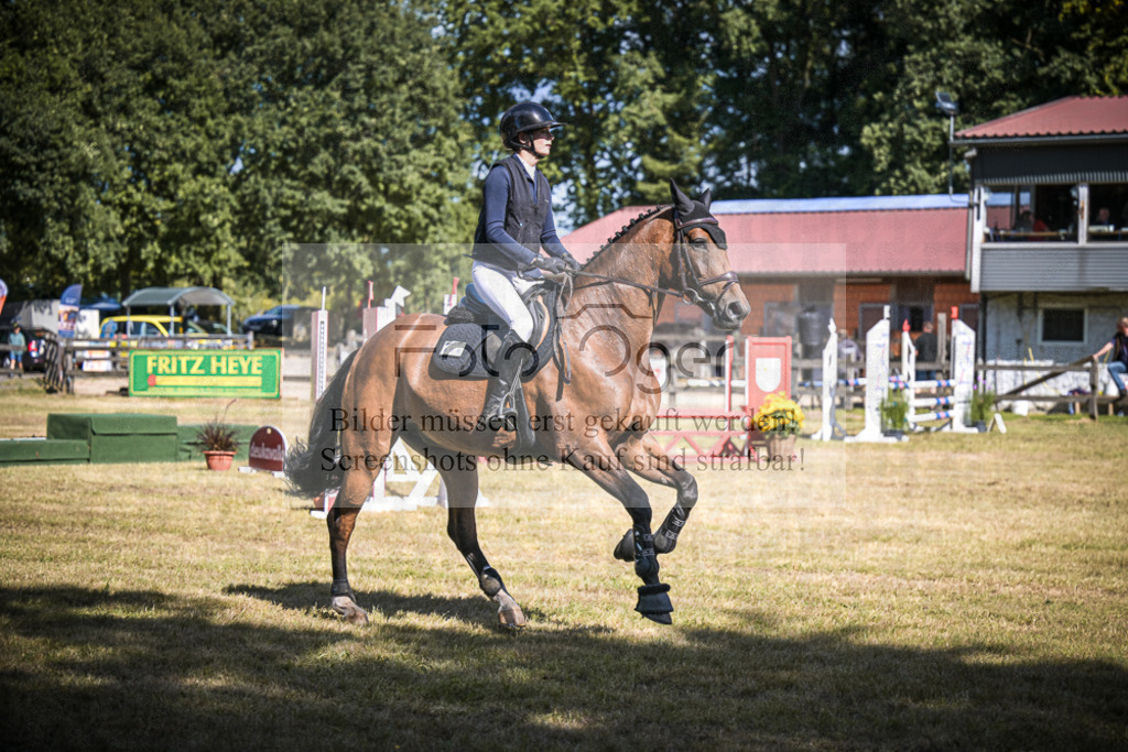 DOS_1148 | Entdecke hochwertige Reitturnierfotos von Foto Oger. Professionell, emotional und authentisch – jetzt Lieblingsmomente im Shop bestellen.Deutschlandweite Turnierfotografie. - Realisiert mit Pictrs.com