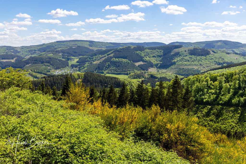 Frühling im Sauerland | Frühling im Sauerland - Realisiert mit Pictrs.com